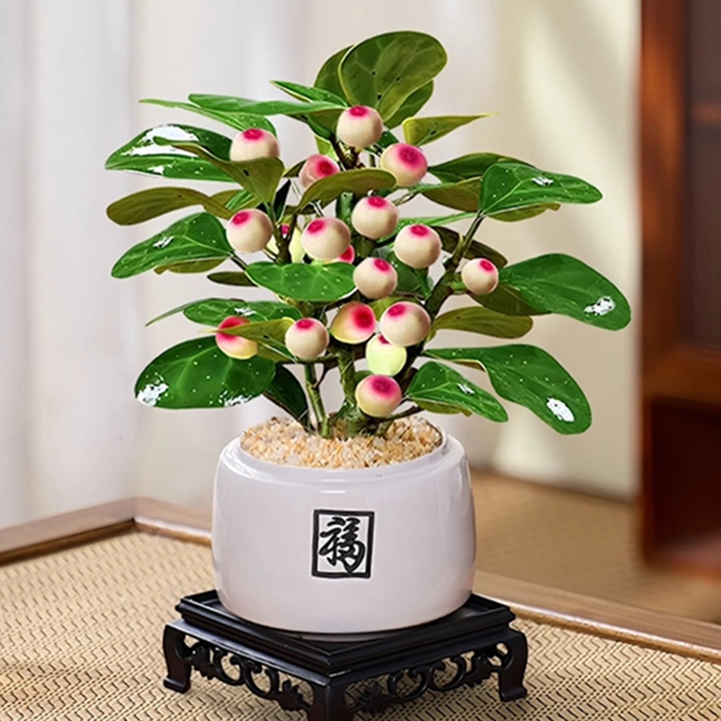 Small - leaved Ficus religiosa Bonsai Moss Ball Plant Balcony